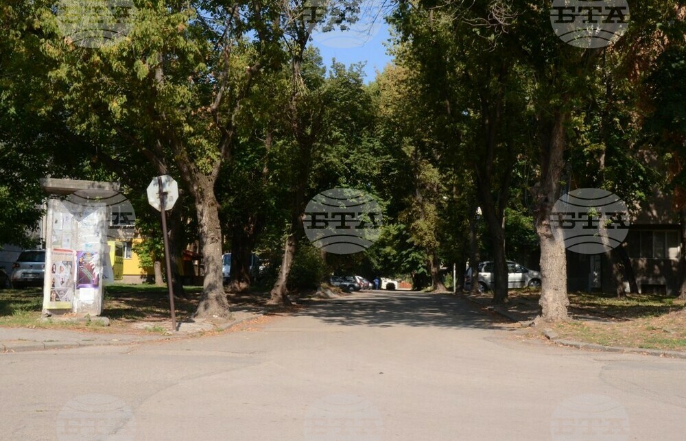 Въвежда се временна организация на движението по време на Видински панаир 2022