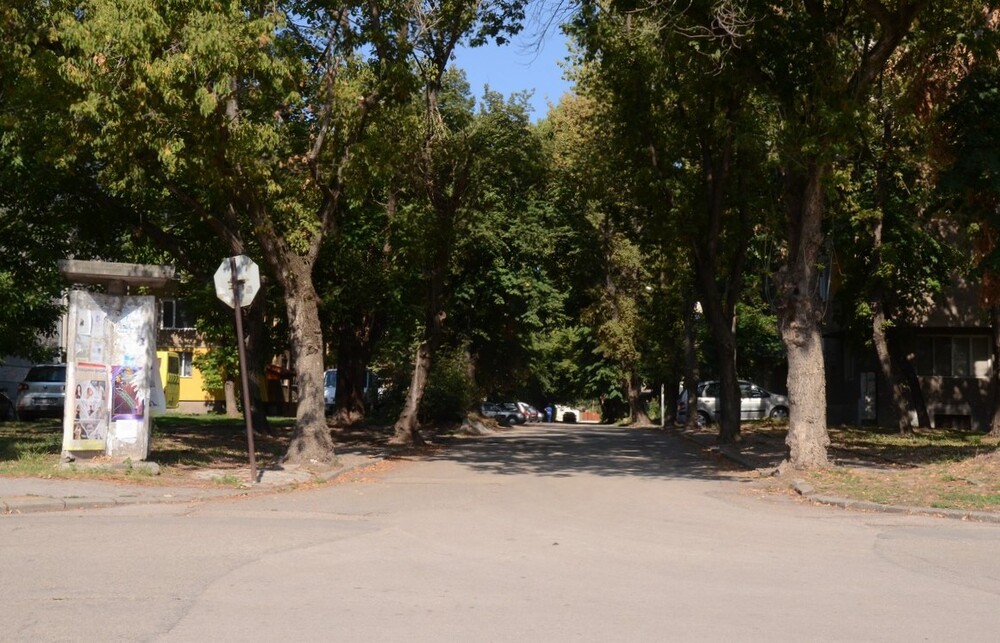 Въвежда се временна организация на движението по време на Видински панаир 2022