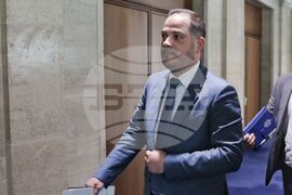 Народно събрание - Калин Стоянов - брифинг