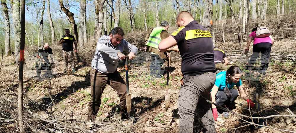 В Държавното горско стопанство в Смядово започна залесяването на 15 декара нова гора