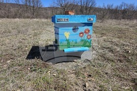 Село Голям Манастир - медена ферма - инициатива „На гости на Тунджа“