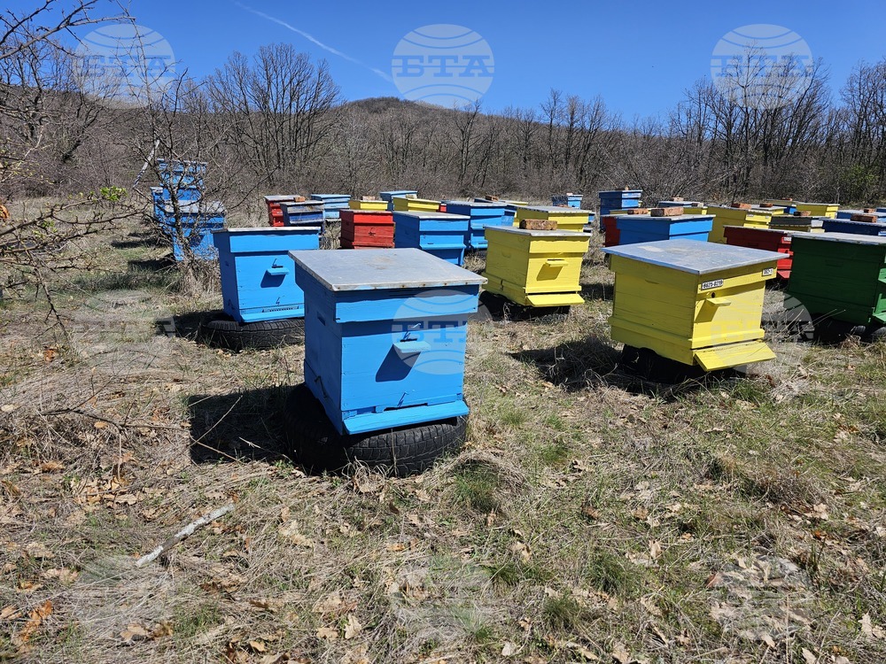 Село Голям Манастир - медена ферма - инициатива „На гости на Тунджа“