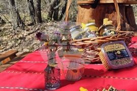 Село Голям Манастир - медена ферма - инициатива „На гости на Тунджа“