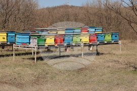 Село Голям Манастир - медена ферма - инициатива „На гости на Тунджа“
