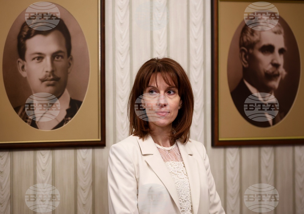 Според председателя на ЦИК Камелия Нейкова Стоил Цицелков трябва да напусне Обществения съвет към ЦИК 