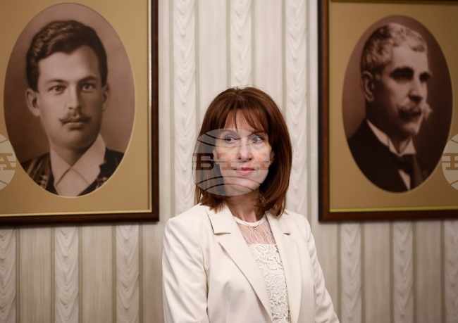 Според председателя на ЦИК Камелия Нейкова Стоил Цицелков трябва да напусне Обществения съвет към ЦИК 