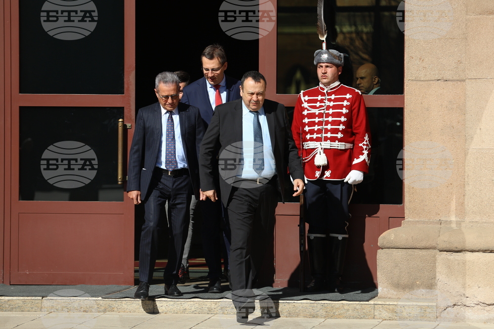 ДПС - президентство