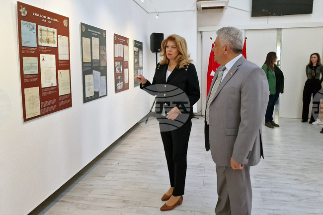 Черна гора - Цетине - Културен център - посещение - Илияна Йотова