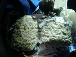 Снимка: МВР