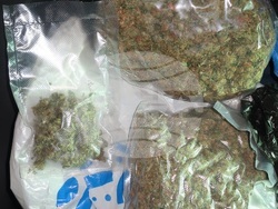 Снимка: МВР