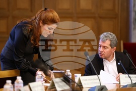 Народно събрание - Агенция „Митници” - временна комисия - заседание