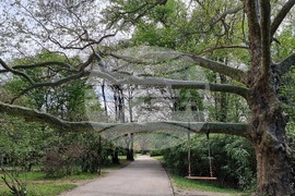 Седмица на гората 2024 - Държавно ловно стопанство “Кричим”