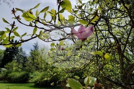 Седмица на гората 2024 - Държавно ловно стопанство “Кричим”