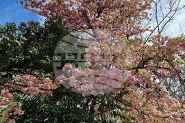 Седмица на гората 2024 - Държавно ловно стопанство “Кричим”