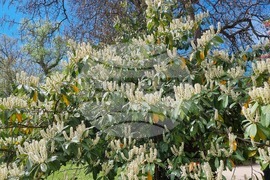 Седмица на гората 2024 - Държавно ловно стопанство “Кричим”