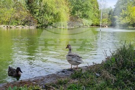 Седмица на гората 2024 - Държавно ловно стопанство “Кричим”