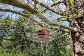 Седмица на гората 2024 - Държавно ловно стопанство “Кричим”