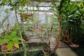 Седмица на гората 2024 - Държавно ловно стопанство “Кричим”