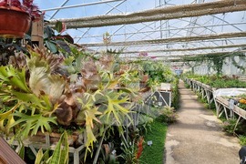 Седмица на гората 2024 - Държавно ловно стопанство “Кричим”