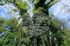 Седмица на гората 2024 - Държавно ловно стопанство “Кричим”