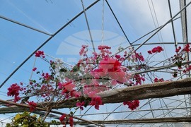 Седмица на гората 2024 - Държавно ловно стопанство “Кричим”