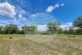 Седмица на гората 2024 - Държавно ловно стопанство “Кричим”