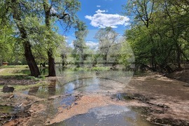 Седмица на гората 2024 - Държавно ловно стопанство “Кричим”