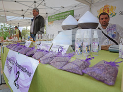 Снимка: Община Варна