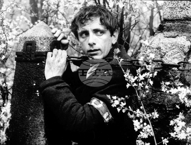 Веселин Ранков - актьор