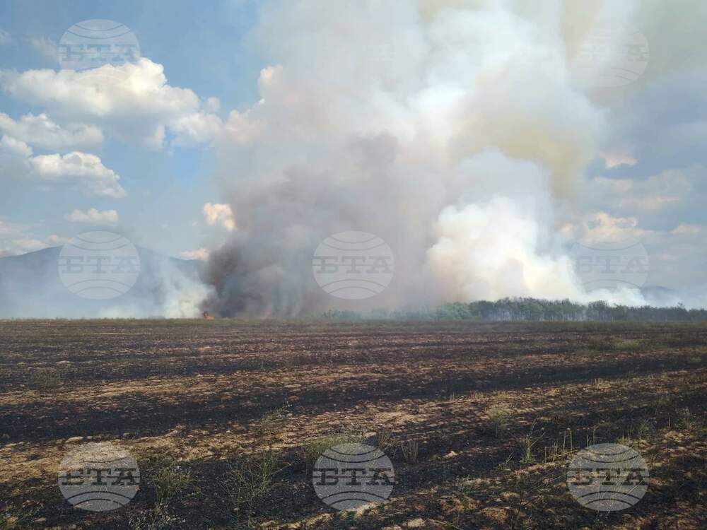 Fire Breaks Out at Tyulbeto Training Area near Kazanlak during Defusal of Unexploded Ammunition