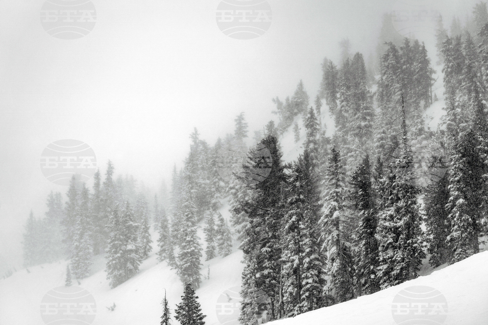 Петима чуждестранни туристи загинаха по време на снежна буря в Чили