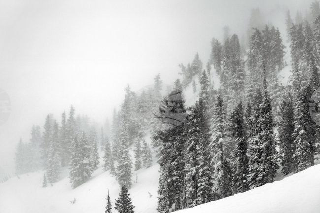 Петима чуждестранни туристи загинаха по време на снежна буря в Чили