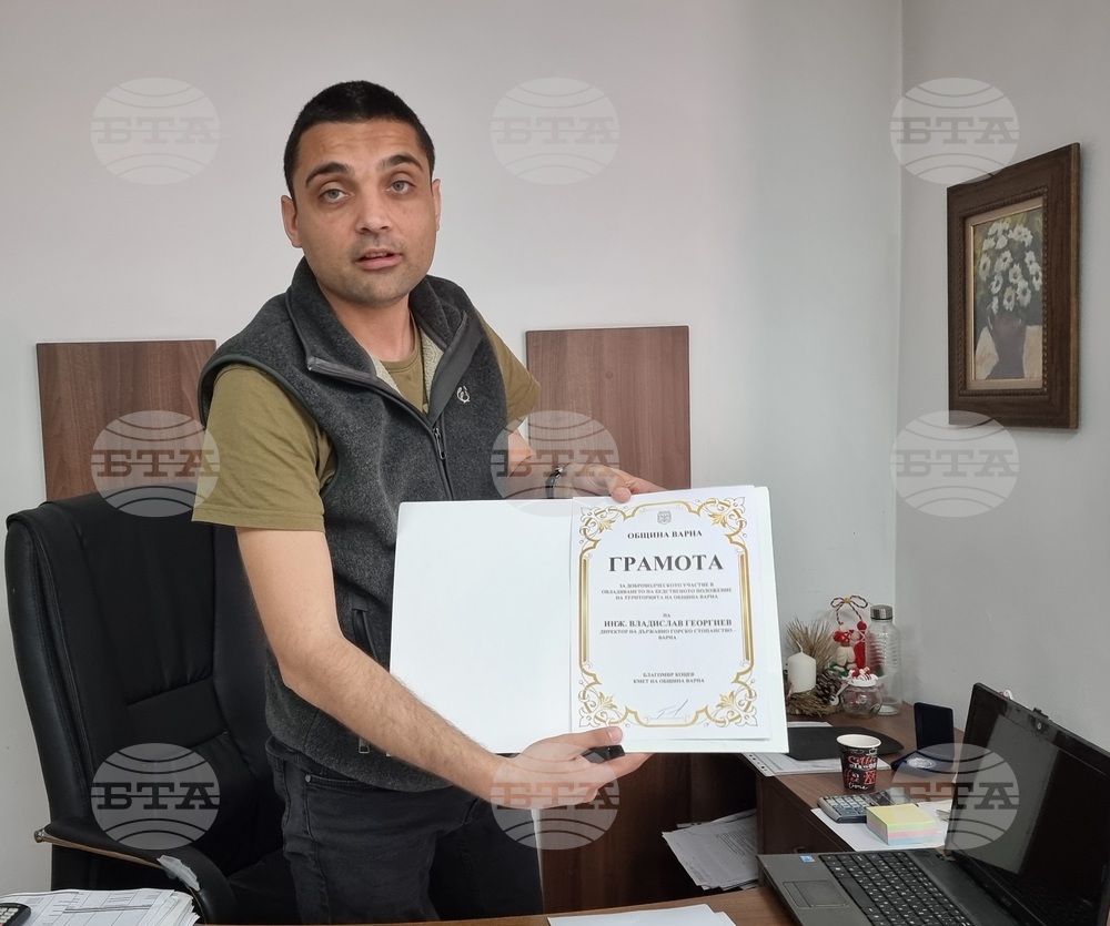 През тази година Горското стопанство във Варна ще залеси 109 декара