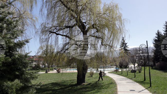 Прогноза за времето