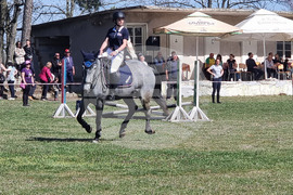 Село Кардам - турнир по конен спорт