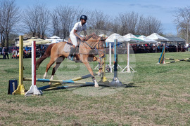Село Кардам - турнир по конен спорт