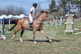 Село Кардам - турнир по конен спорт