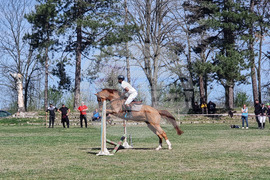 Село Кардам - турнир по конен спорт