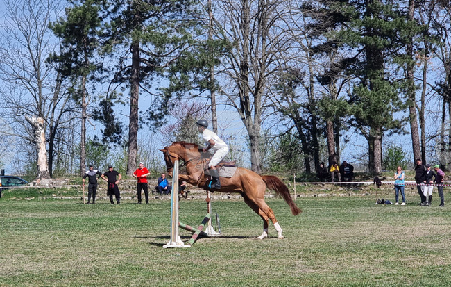 Турнир по конен спорт ще се проведе на стадион "Локомотив" в село Кардам