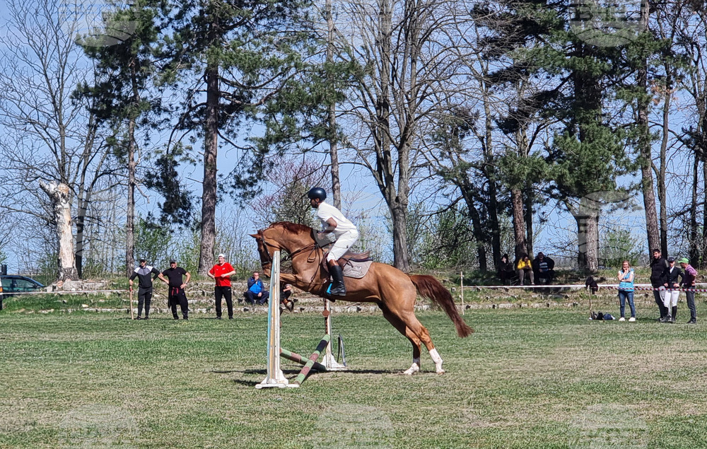 Село Кардам - турнир по конен спорт