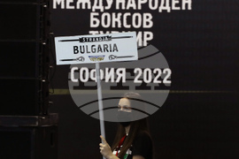 Бокс - турнир Странджа