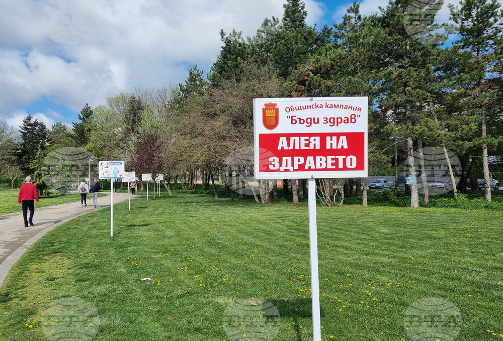 Добрич - кампания "Бъди здрав"
