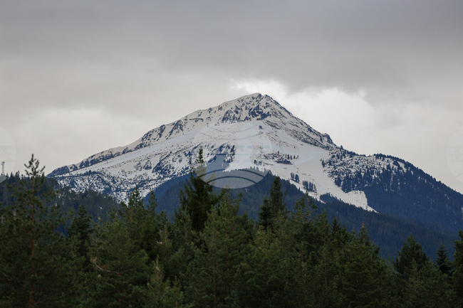 Скиор е загинал след удар в дърво в Банско 