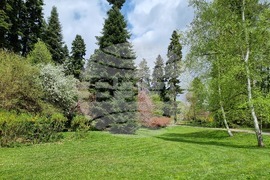 Парк "Врана"