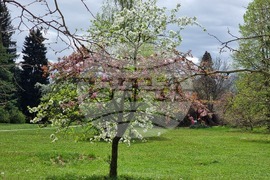 Парк "Врана"