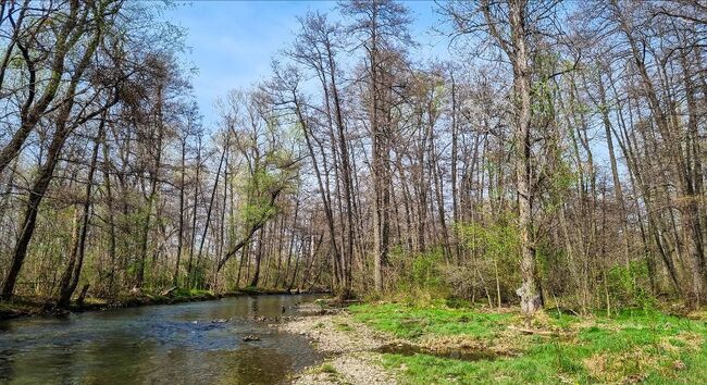 По случай Часа на Земята тази вечер ще бъдат изгасени светлините на обществени сгради и по домовете