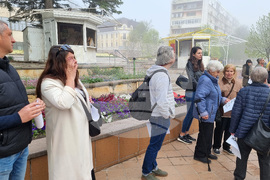 Добрич - протест - изсичане на дървета