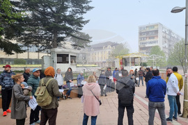 Добрич - протест - изсичане на дървет