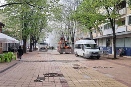 Добрич - протест - изсичане на дървета