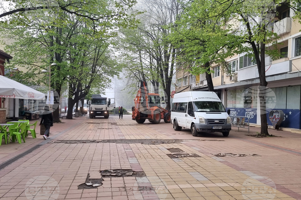 Добрич - протест - изсичане на дървета